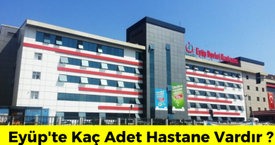 eyüpte kaç hastane var