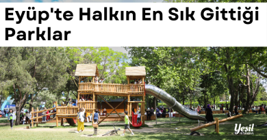 eyup'te-halkin-sevdigi-parklar