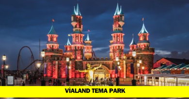 vialand-tema-parki-taniyalim